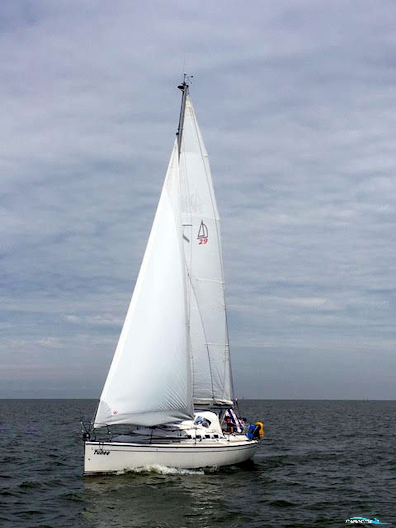 Dehler 29
