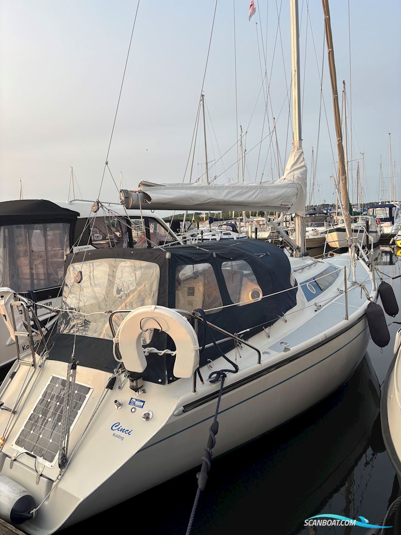 Dehler 31/ Duetta 94 Segelboot 1987, mit Cinci motor, Dänemark