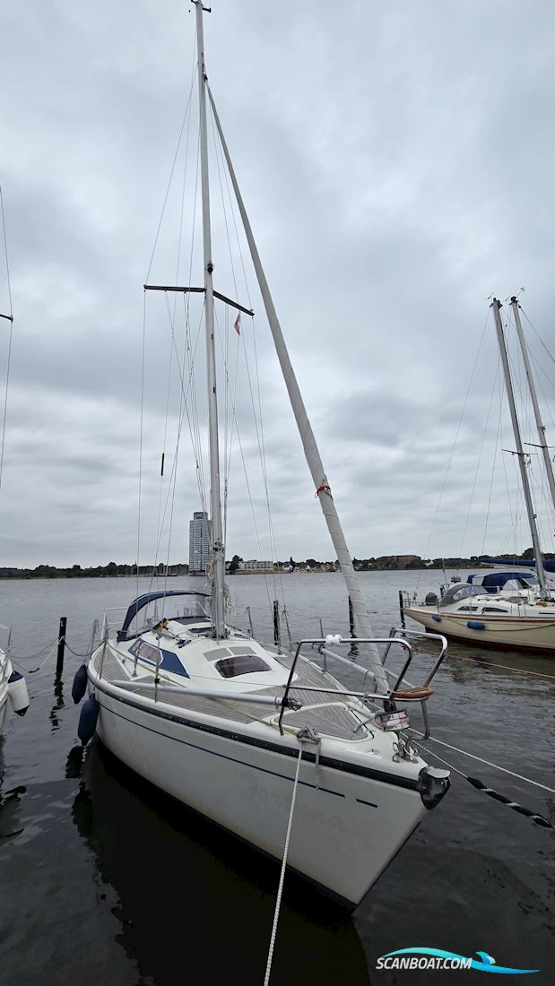 Dehler 31