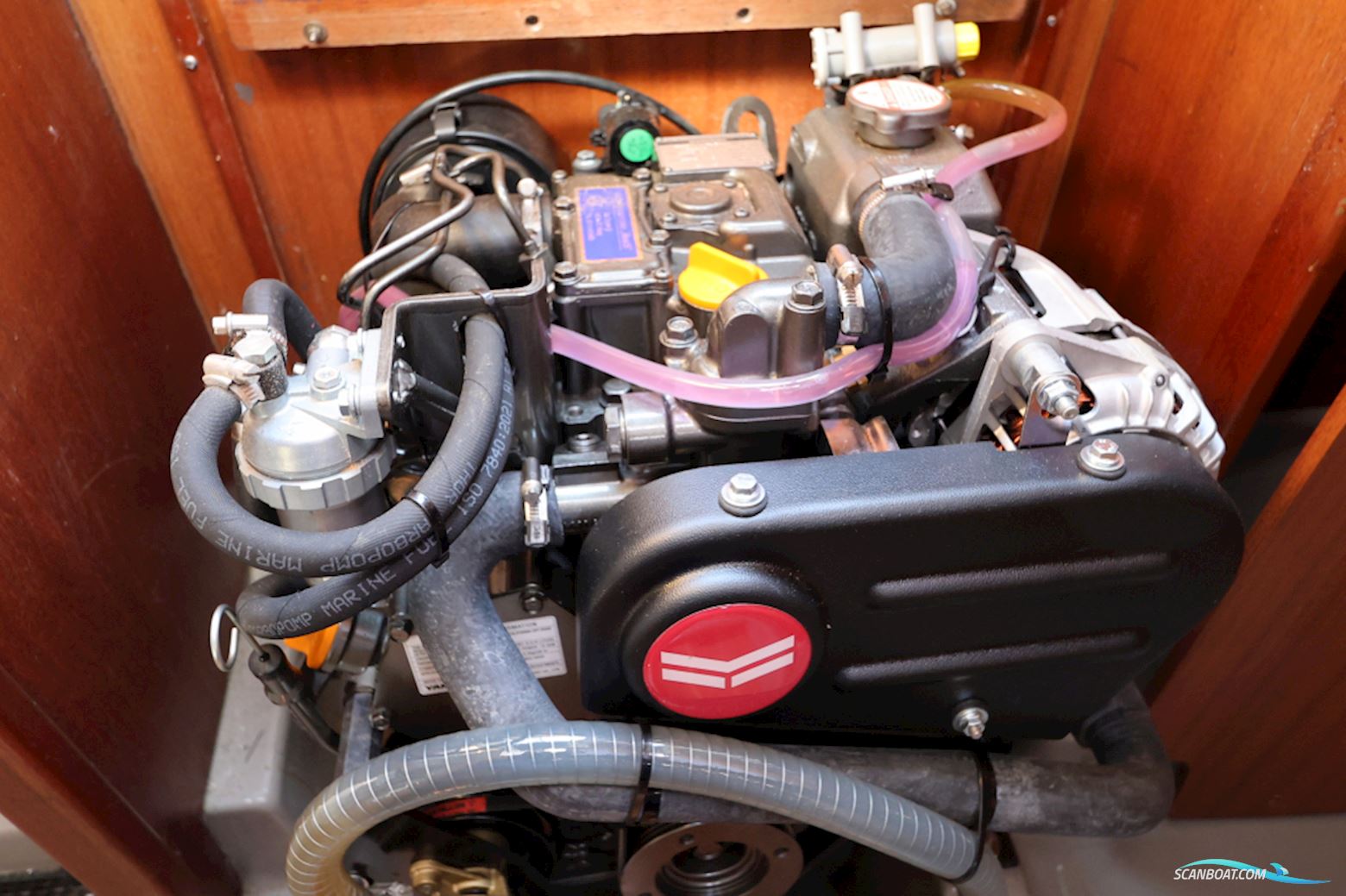 Dehler 31 Top