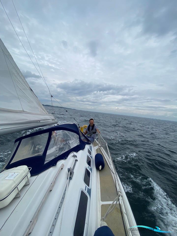 Dehler 33 Cruising