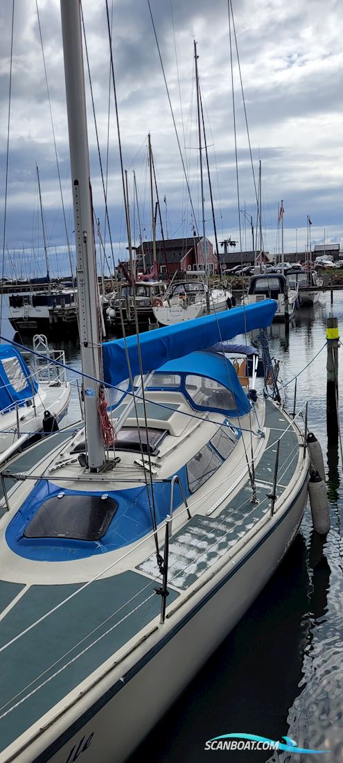 Dehler 34