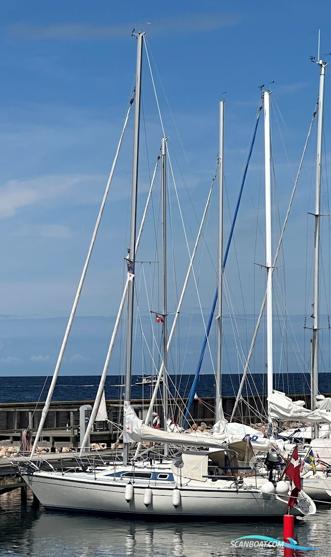 Dehler 34 Segelboot 1988, mit Yanmar 3gm30 motor, Dänemark