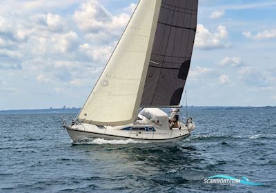Dehler 34 Segelboot 1991, mit Yanmar 3GM  motor, Dänemark