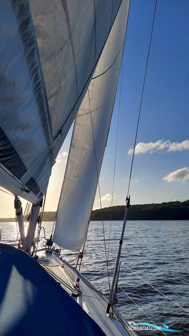Dehler 35 Cruiser