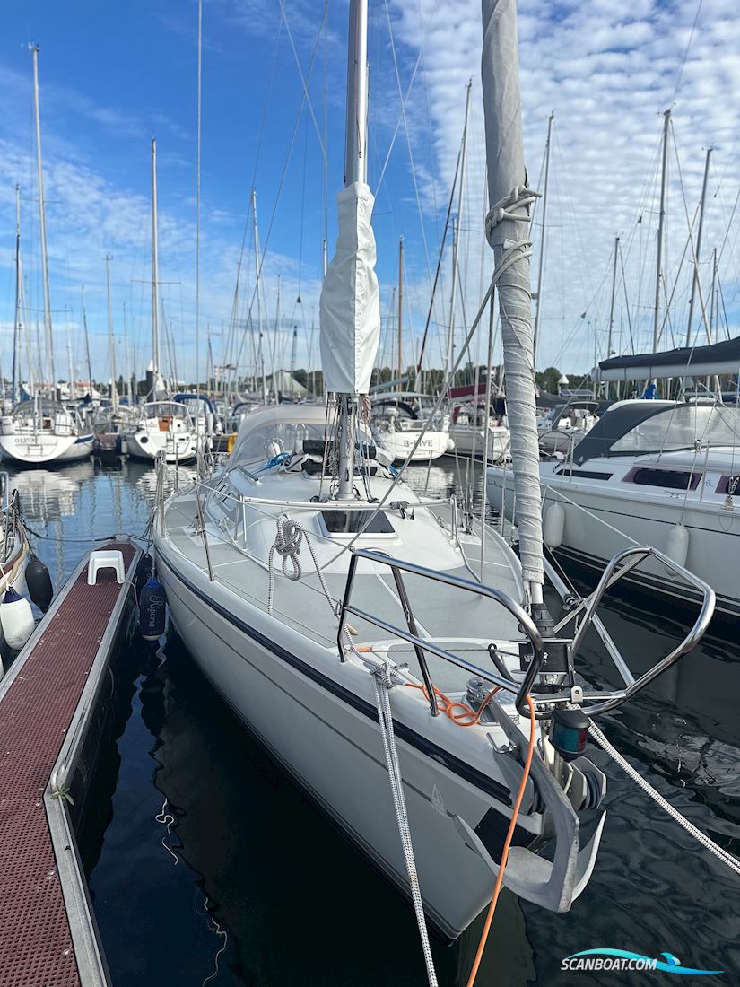 Dehler 36 Cws