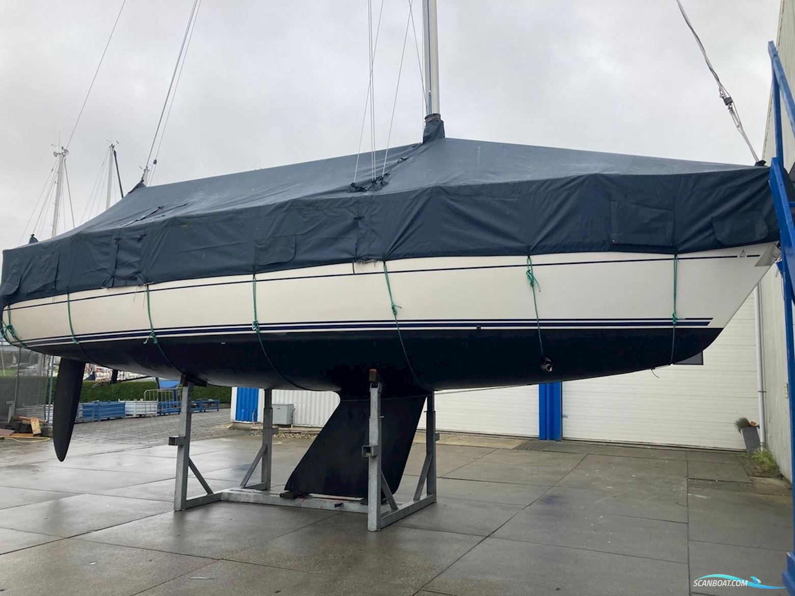 Dehler 37