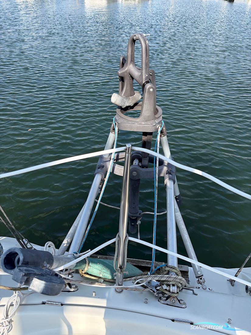 Dehler 38