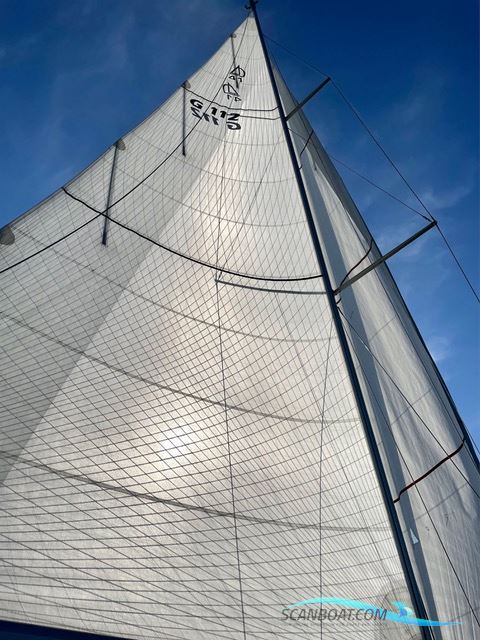 Dehler 41
