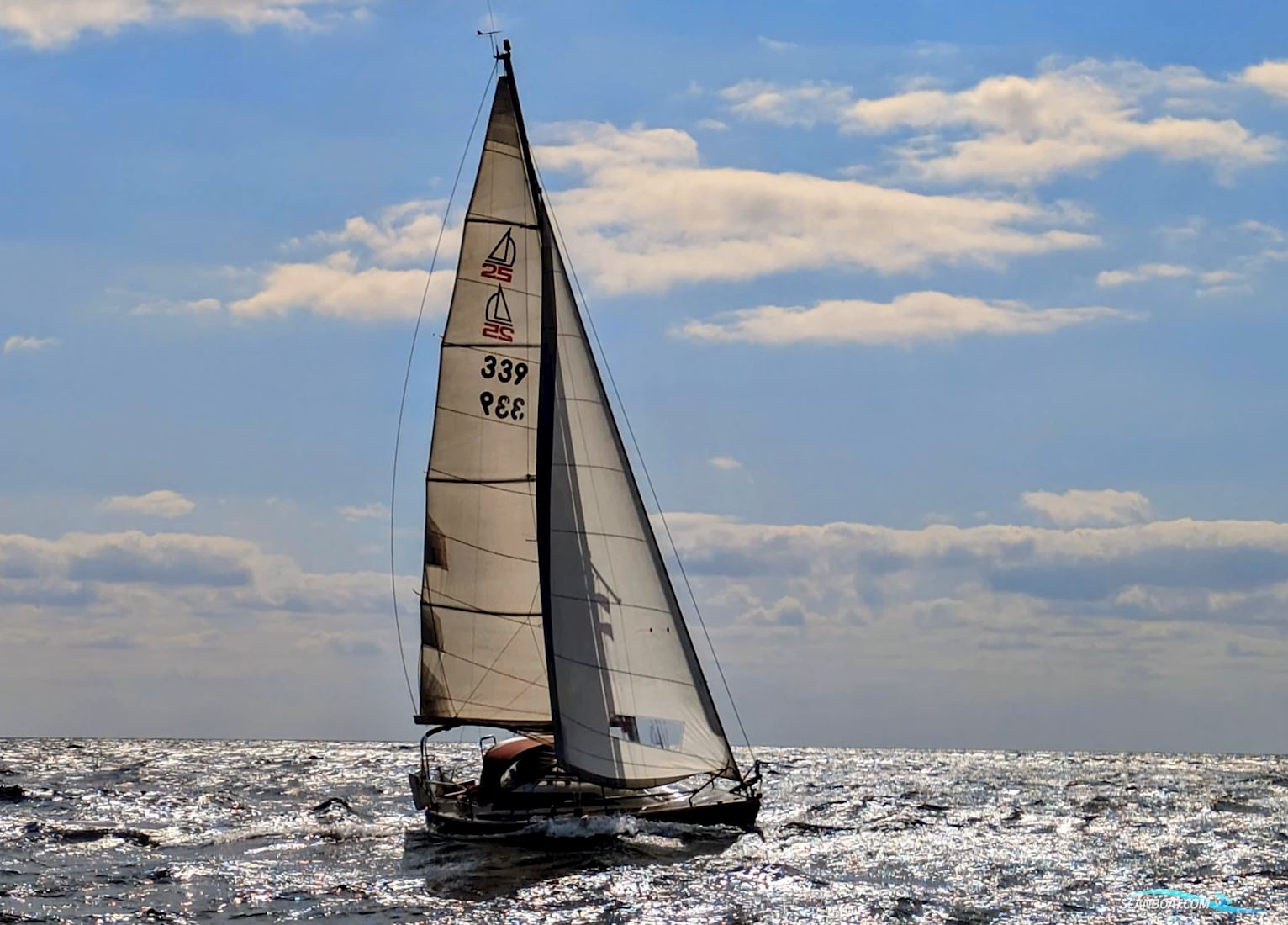 Dehlya 25