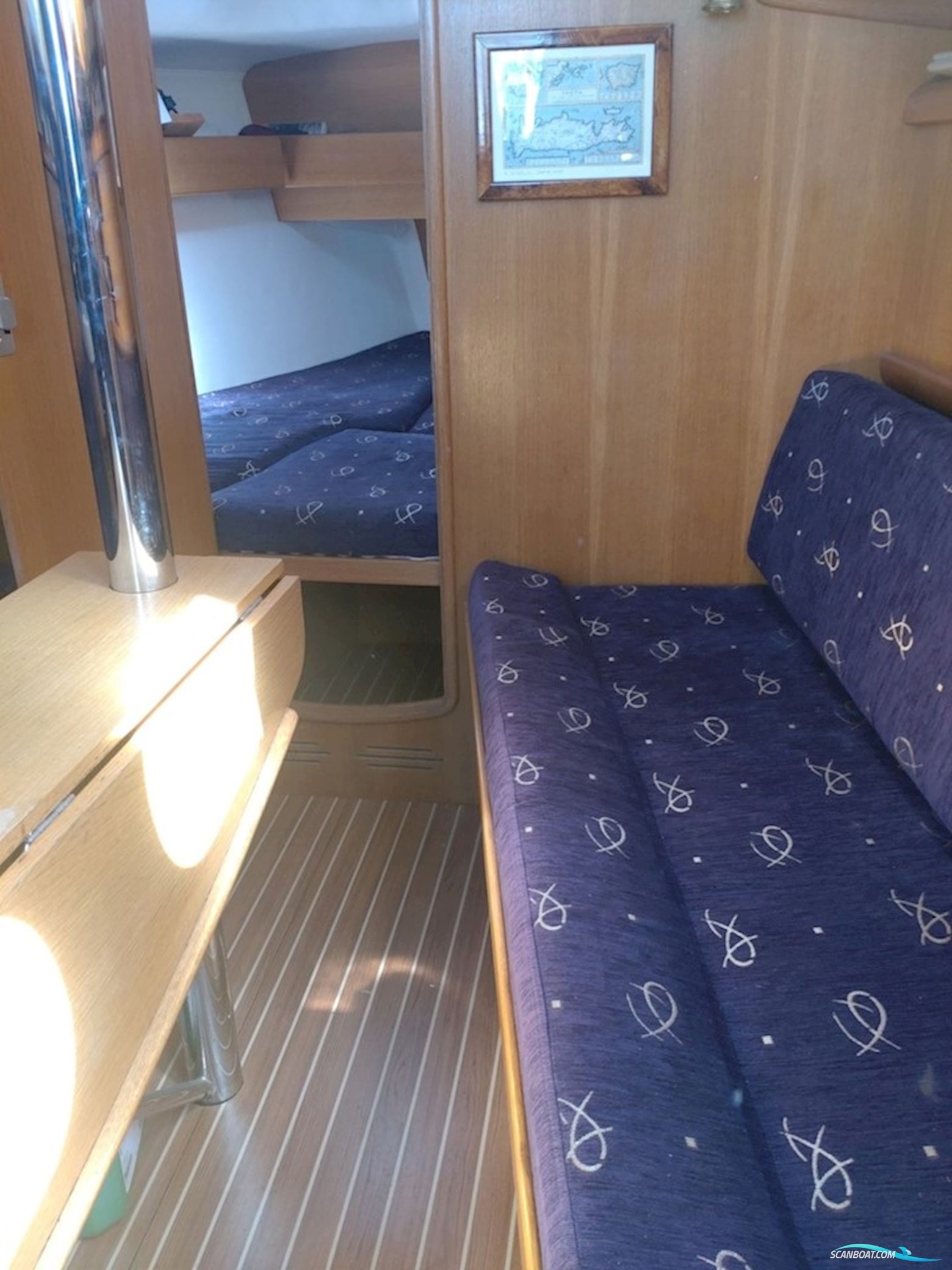 Delphia 29