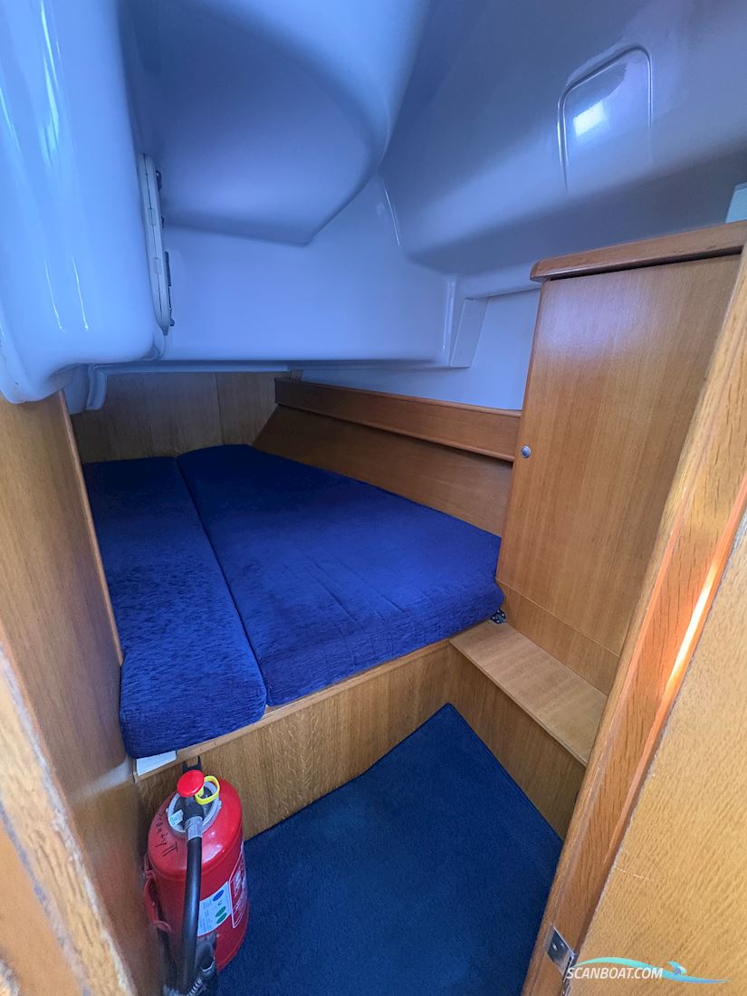 Delphia 40