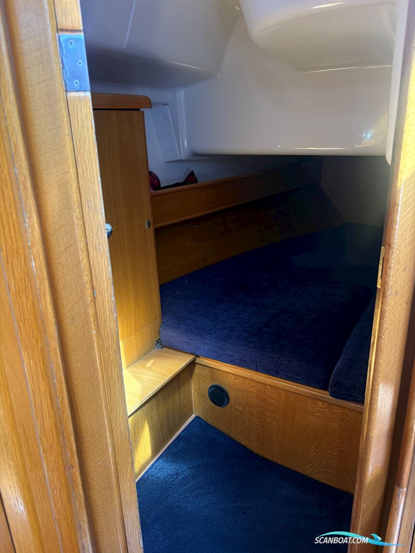 Delphia 40