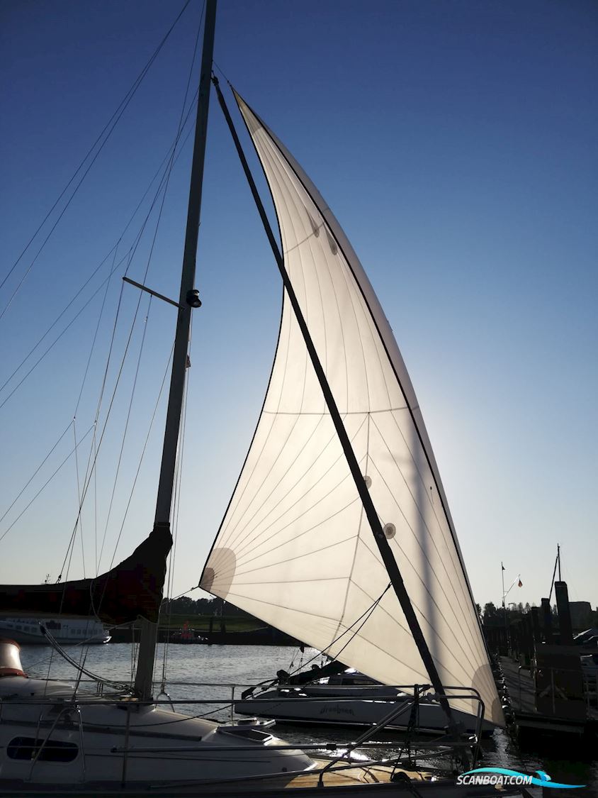Delphia Sportina 860