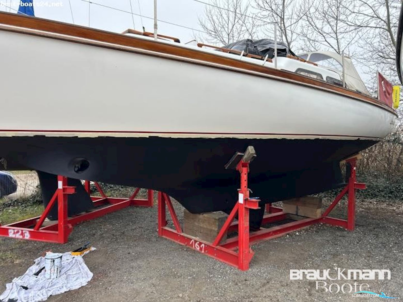 Delphin 66