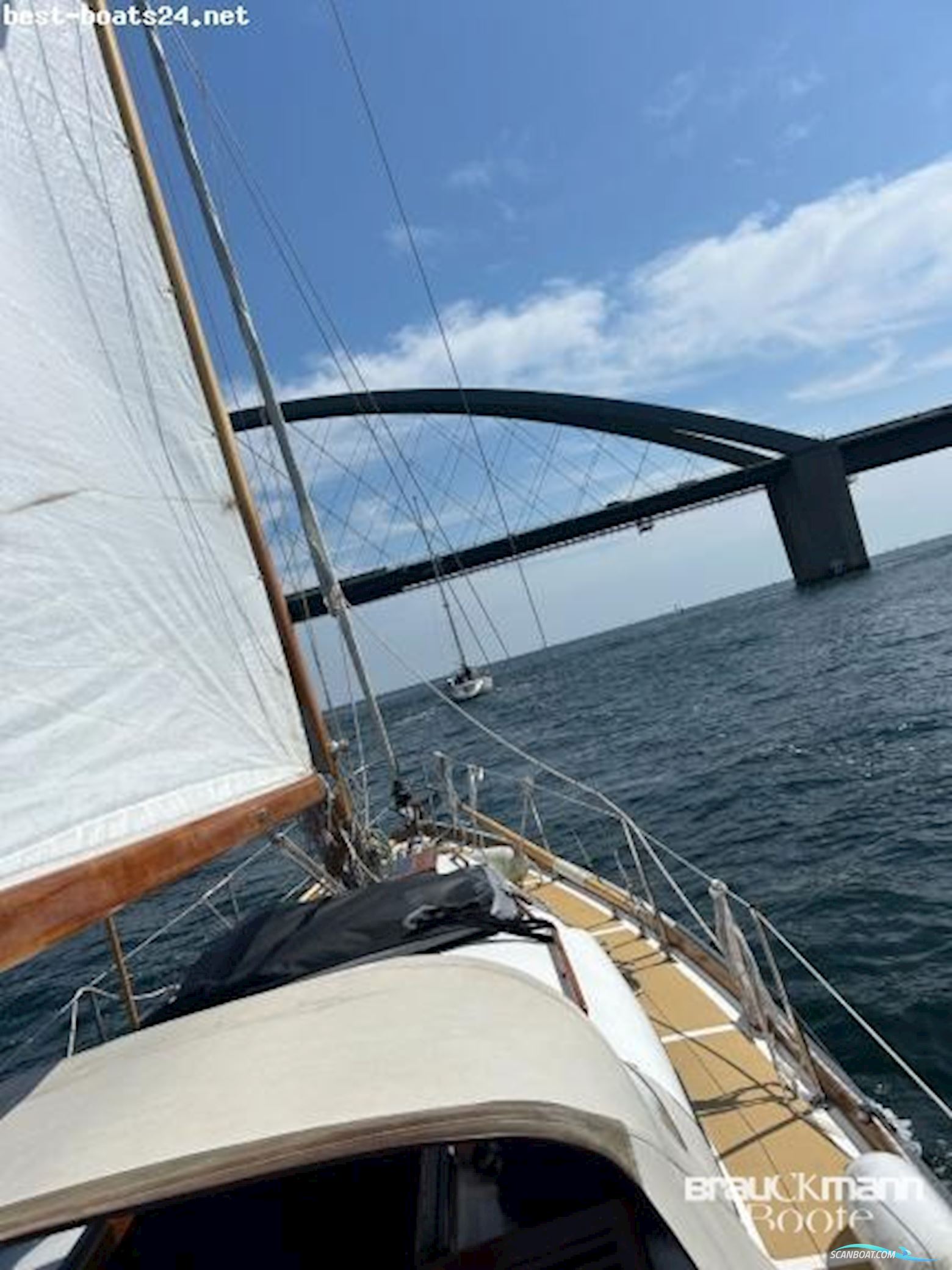 Delphin 66