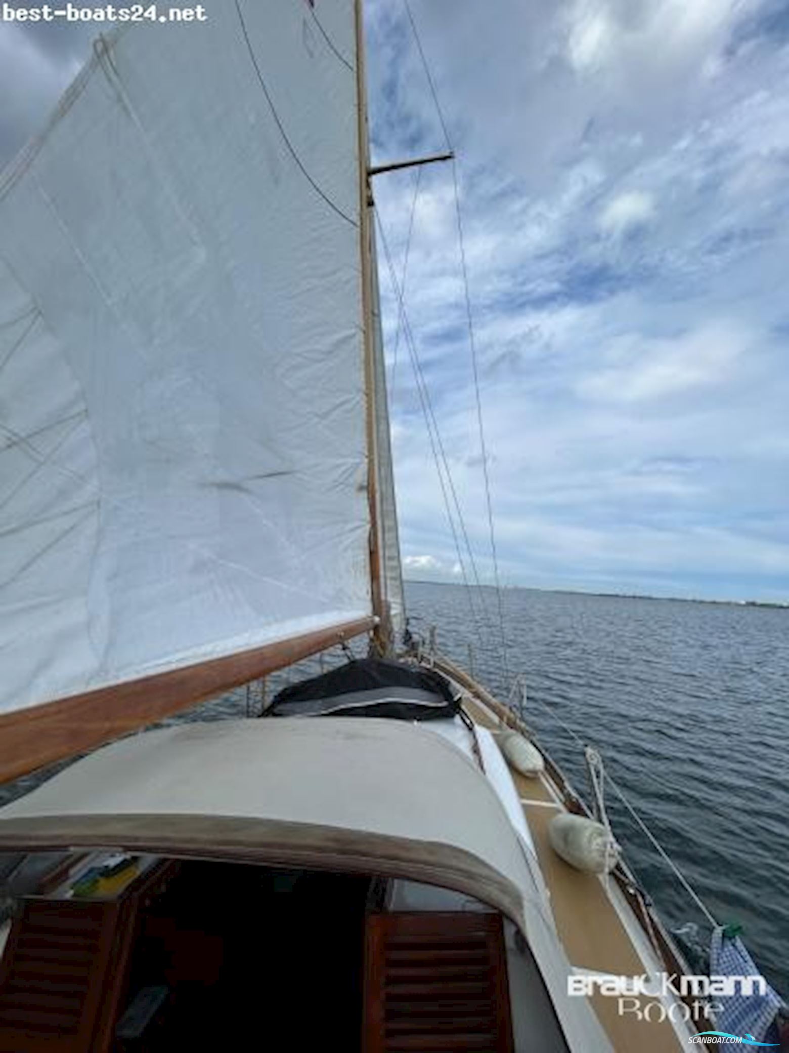 Delphin 66