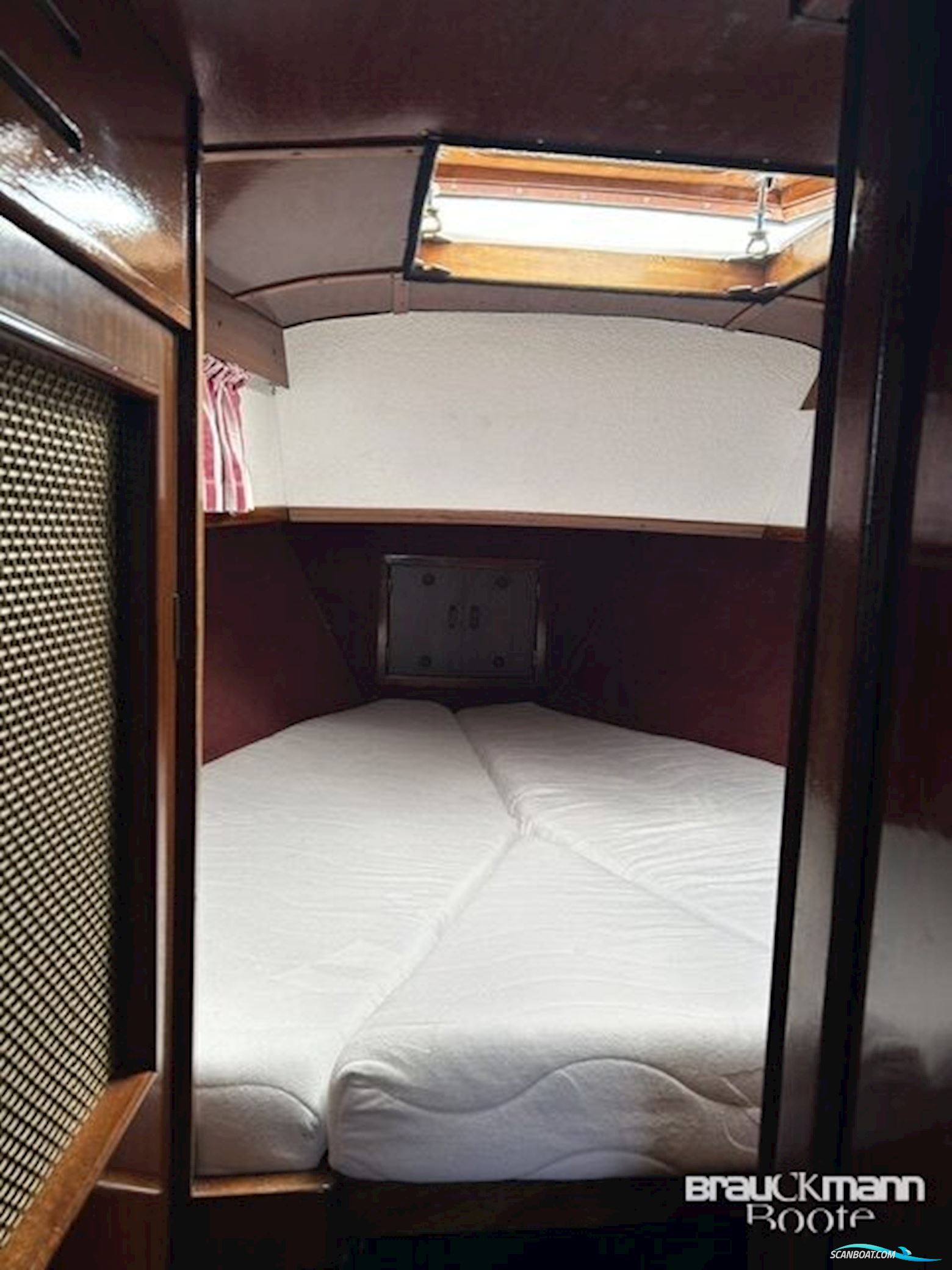 Delphin 66