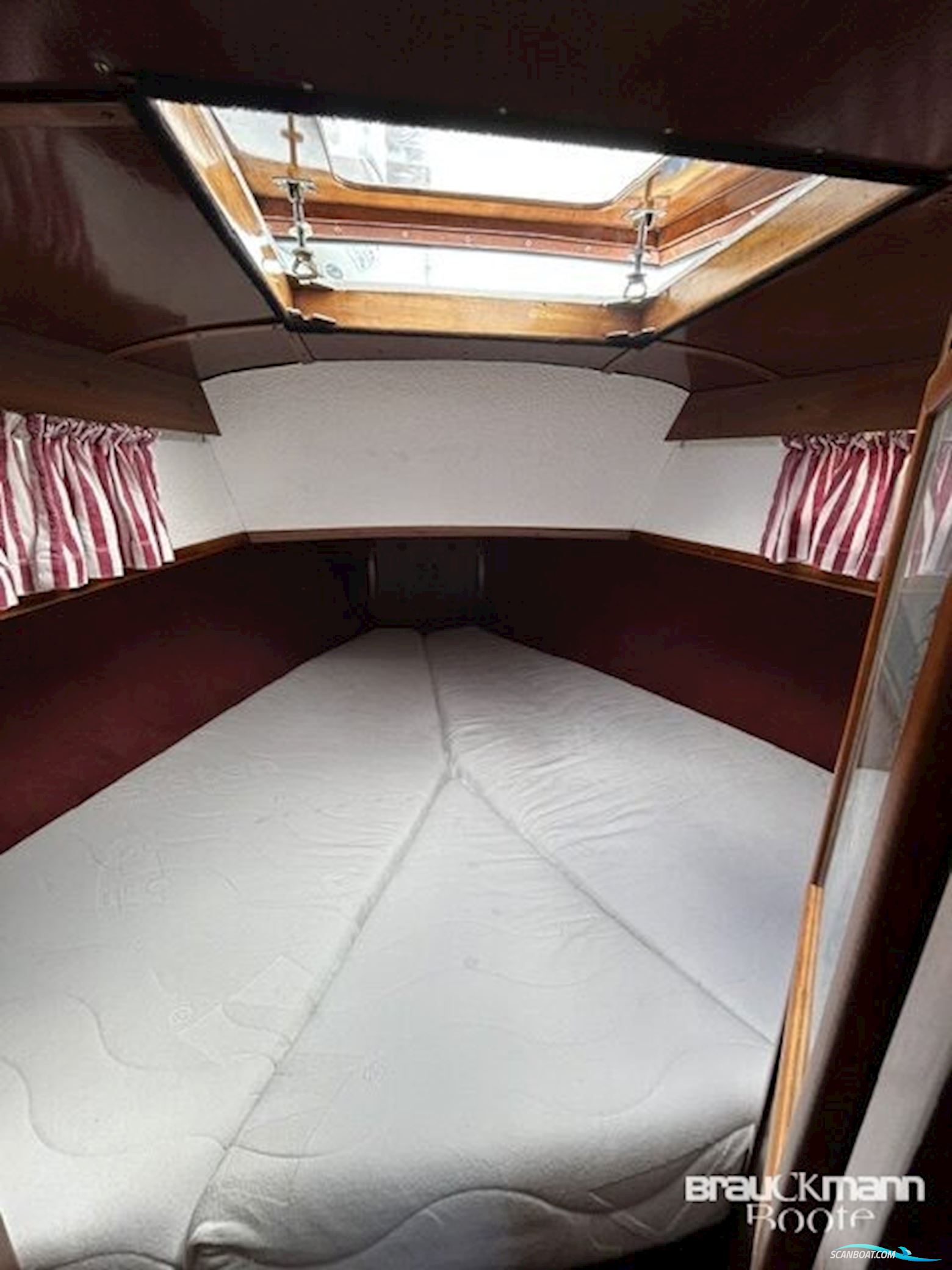 Delphin 66