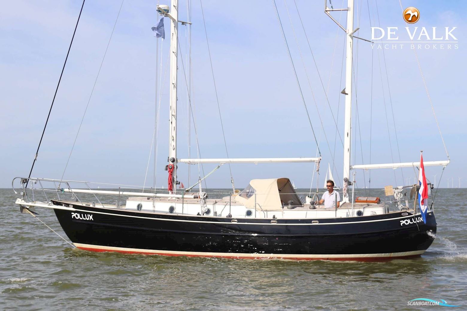 Dick Zaal Polar Bear