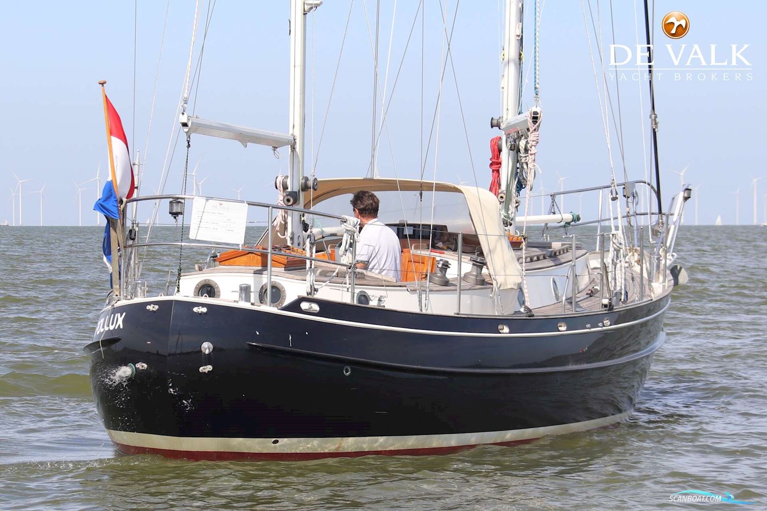 Dick Zaal Polar Bear