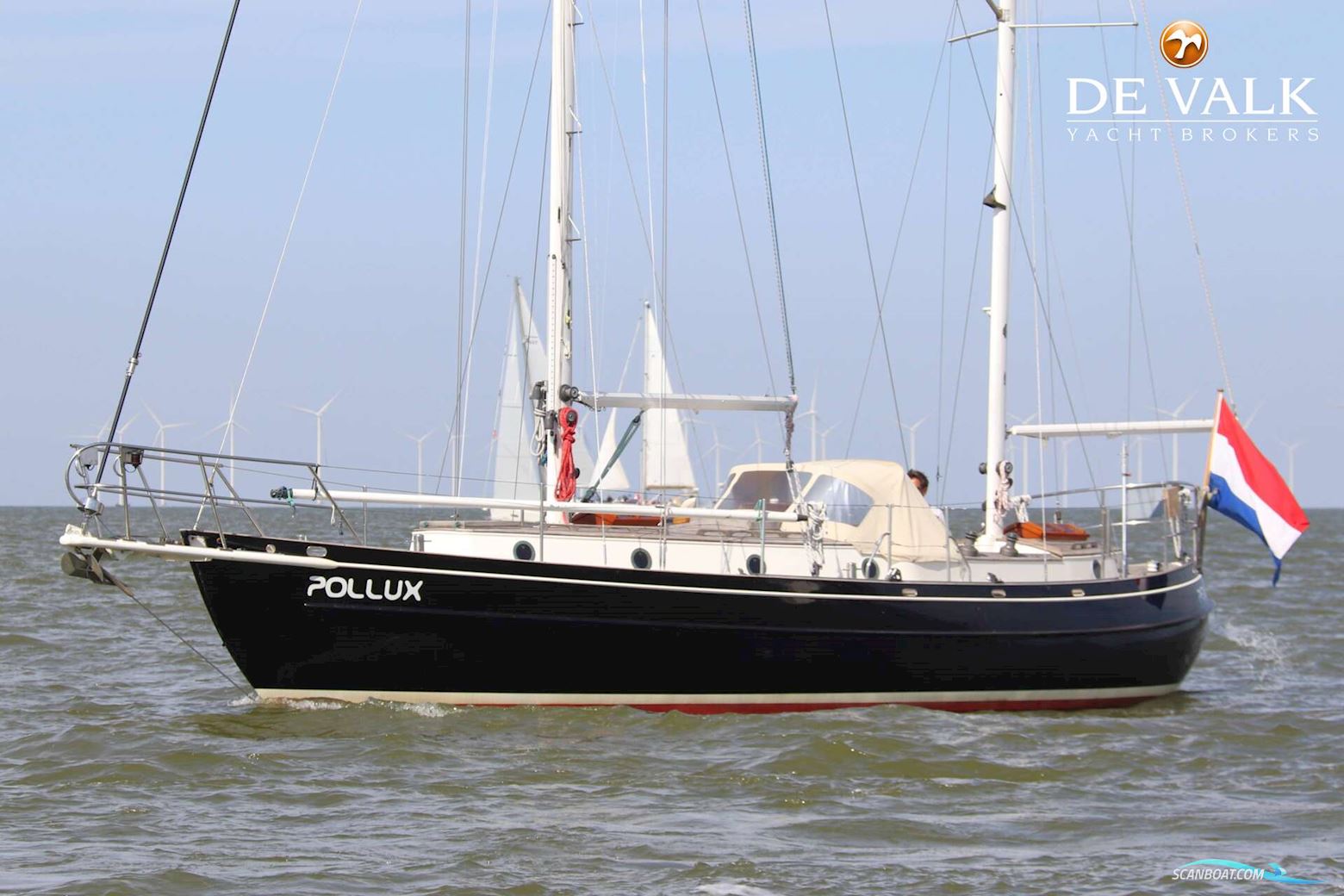 Dick Zaal Polar Bear