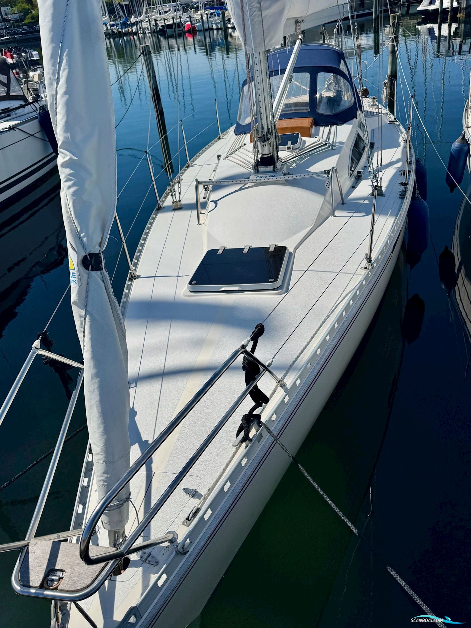 Diva 39