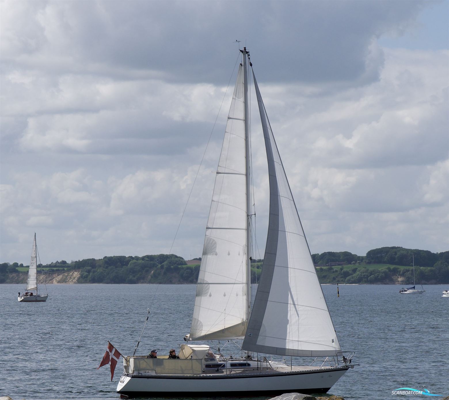 D.P. Doug Peterson 31