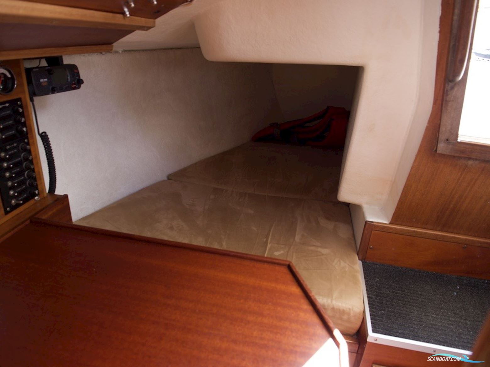 D.P. Doug Peterson 31