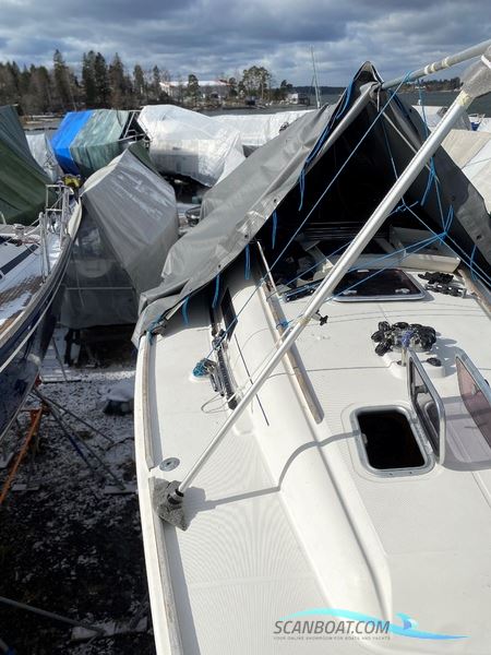 Dufour 34 Performance