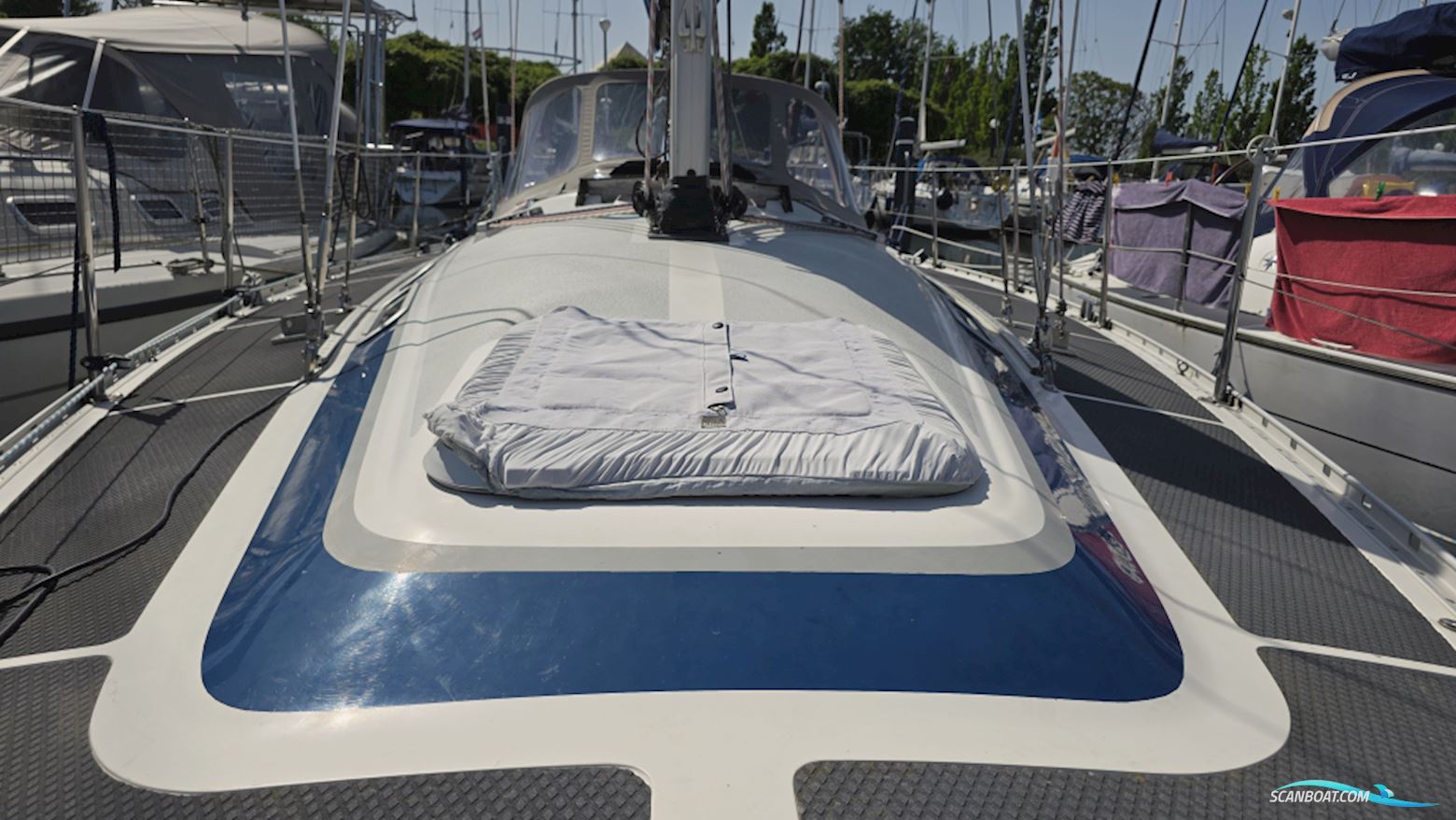 Dynamic 37