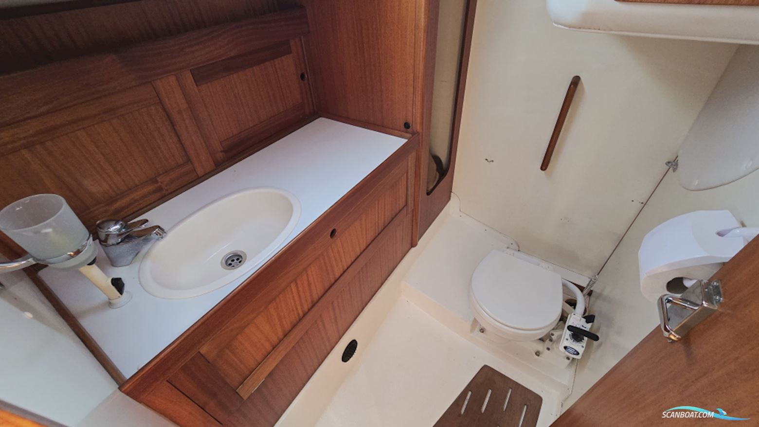 Dynamic 37