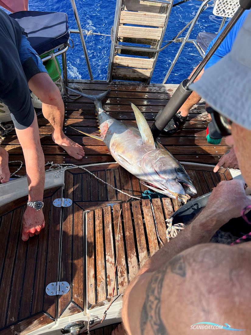 Dynamique 62. “Impulse”