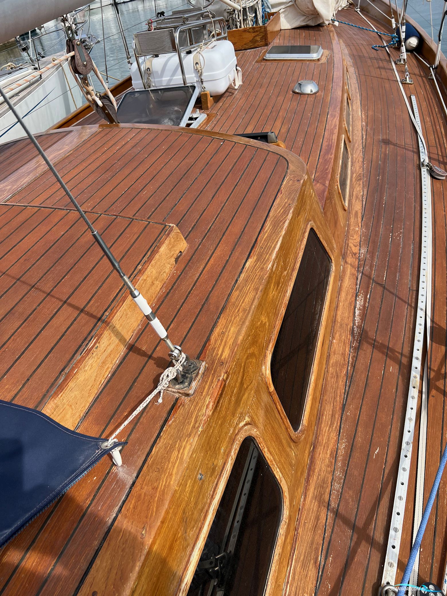 E.G. VAN DE STADT STORMY 55