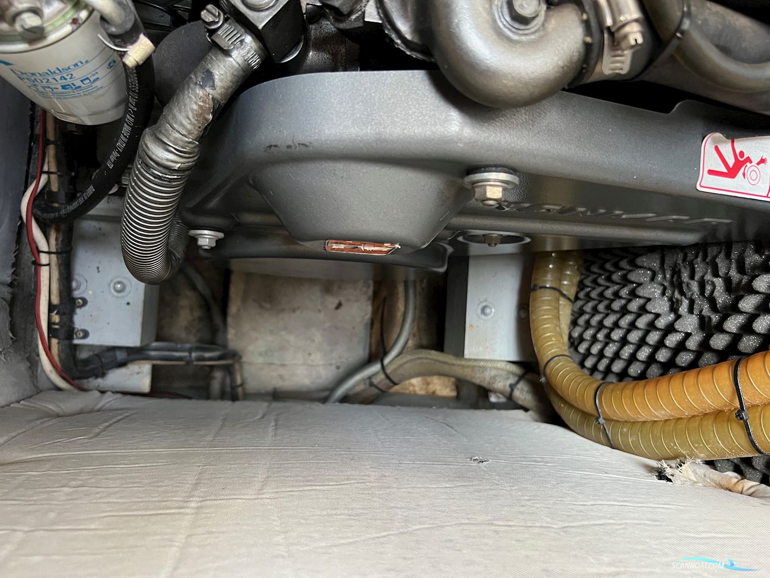 E.G. Van DE Stadt Stormy 55