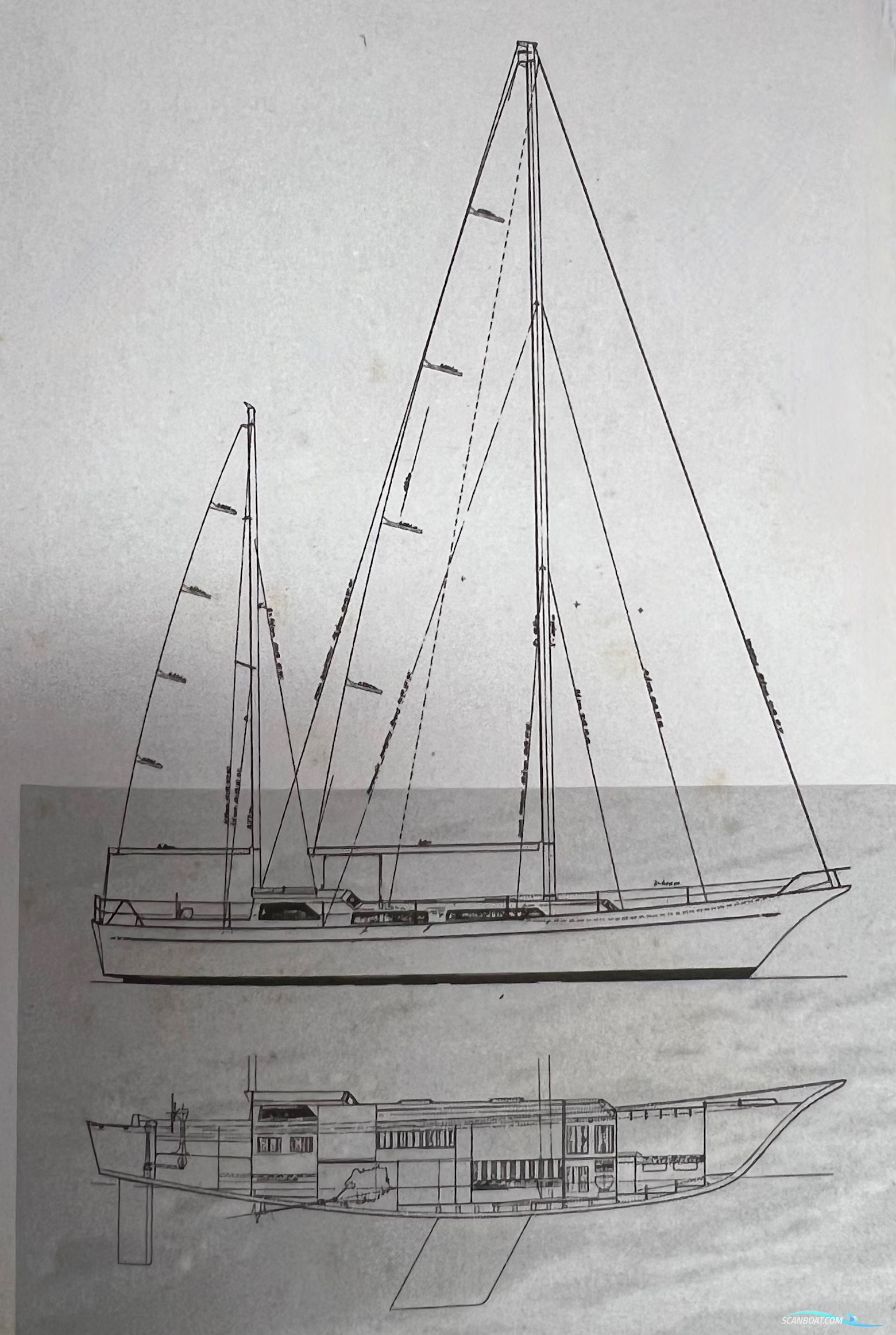 E.G. Van DE Stadt Stormy 55