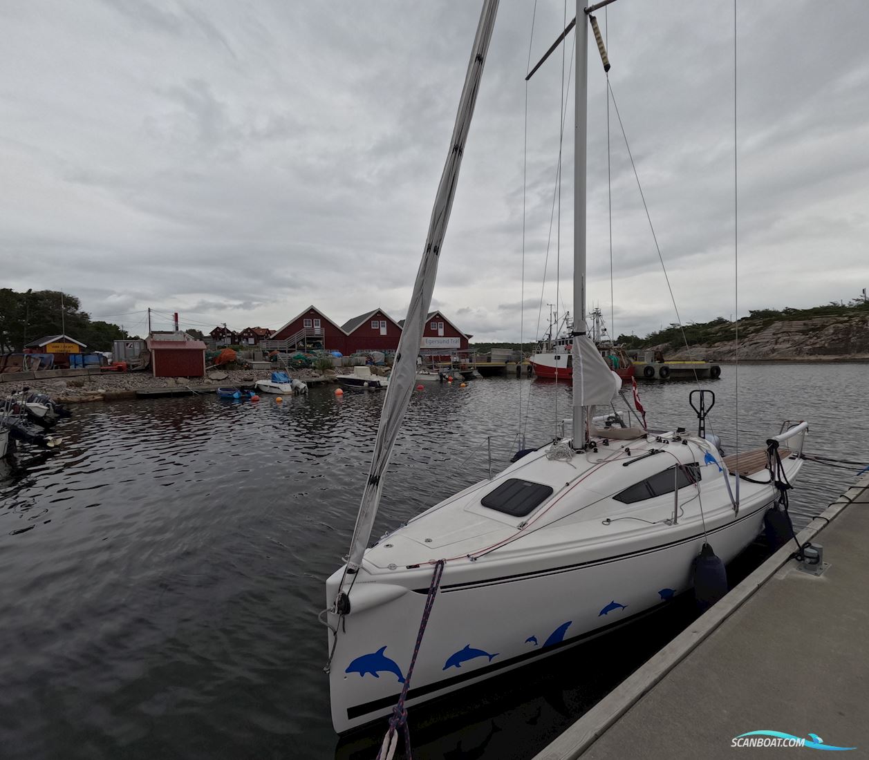 Elan 210 Segelboot 2014, Dänemark