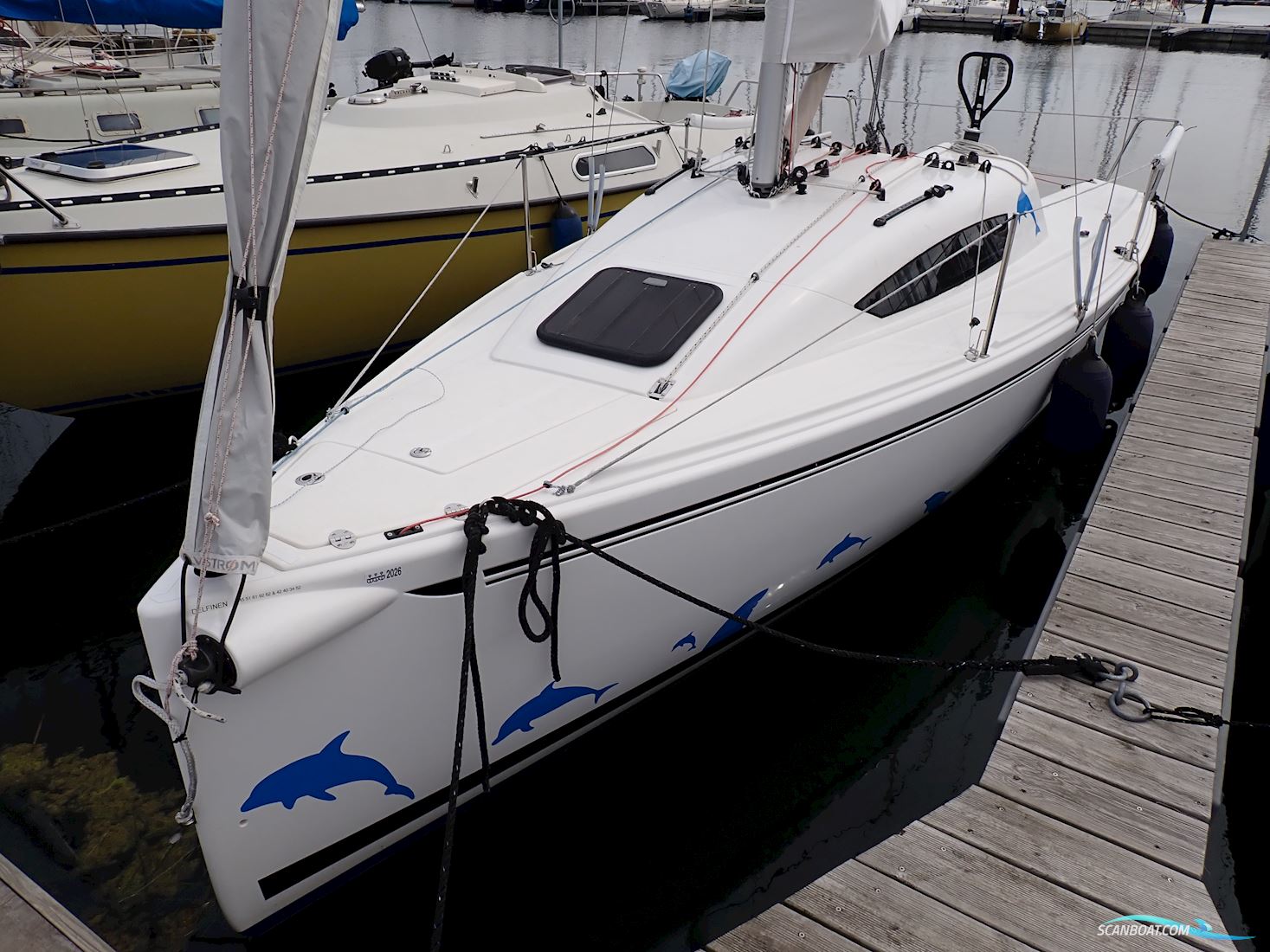 Elan 210