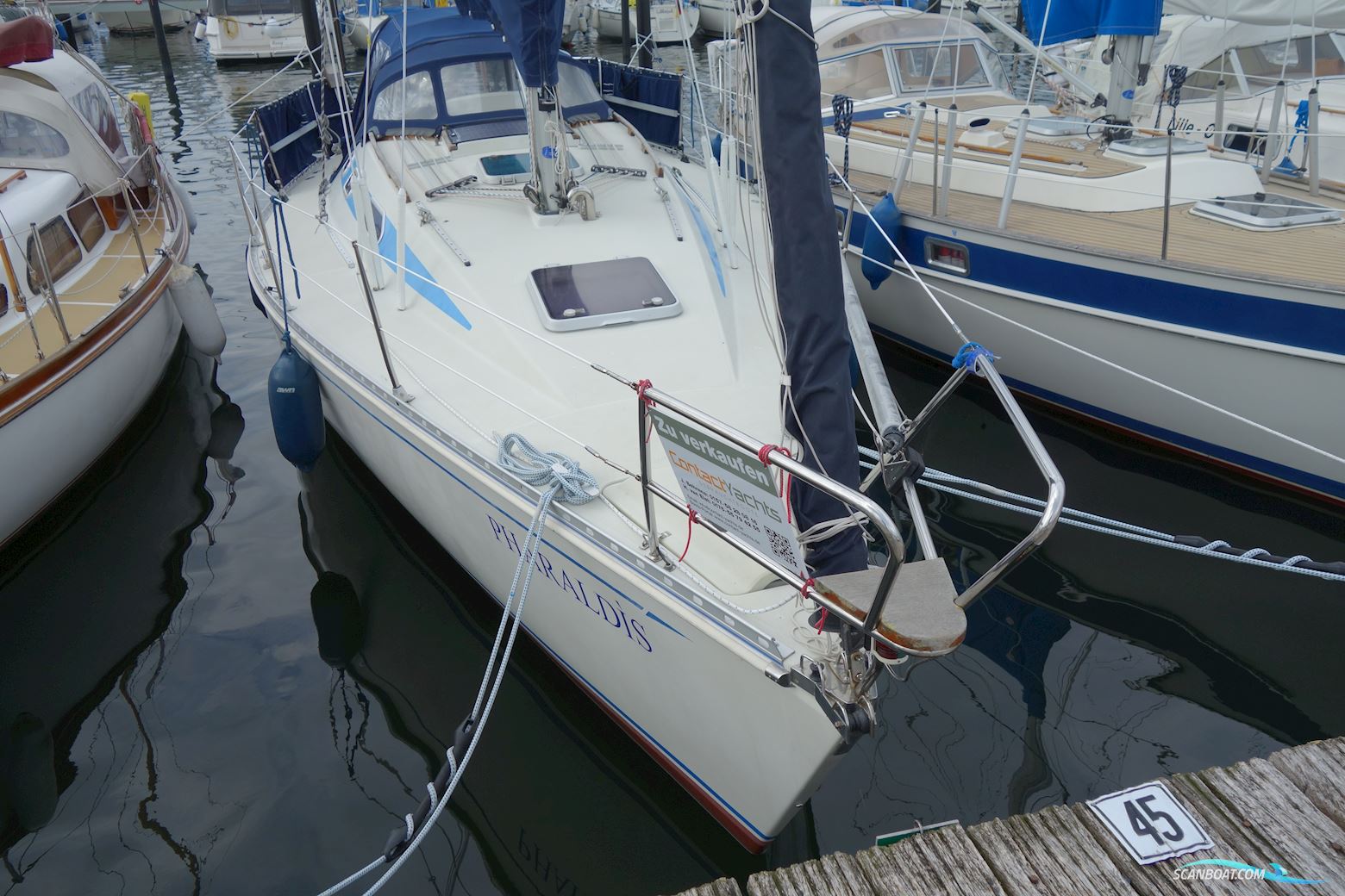 Elan 33