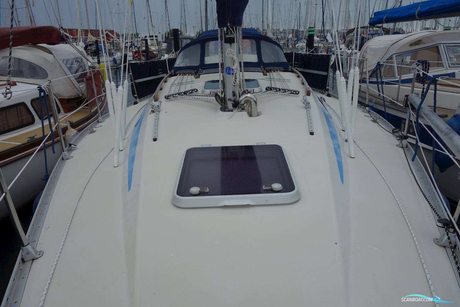 Elan 33