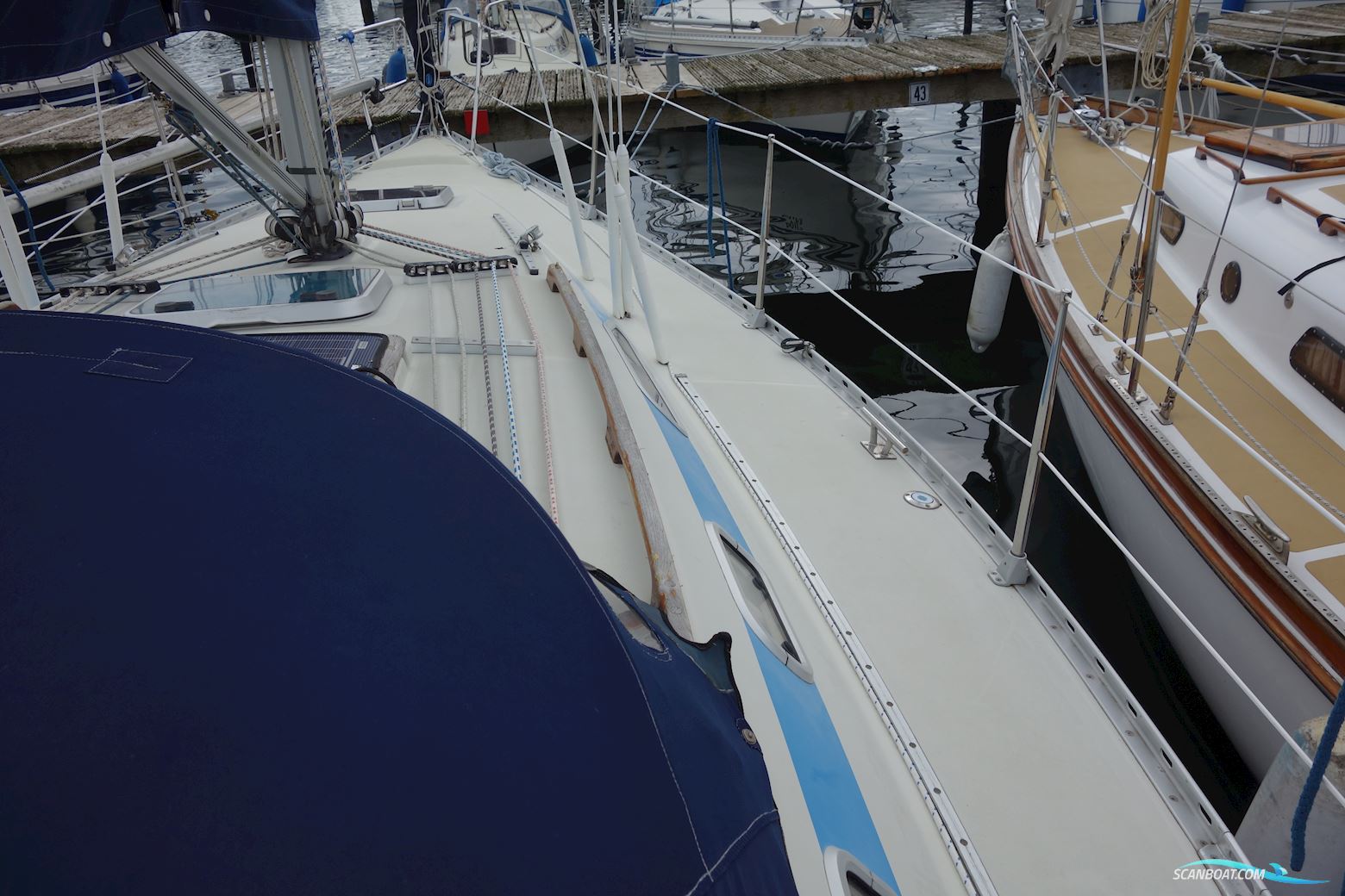 Elan 33