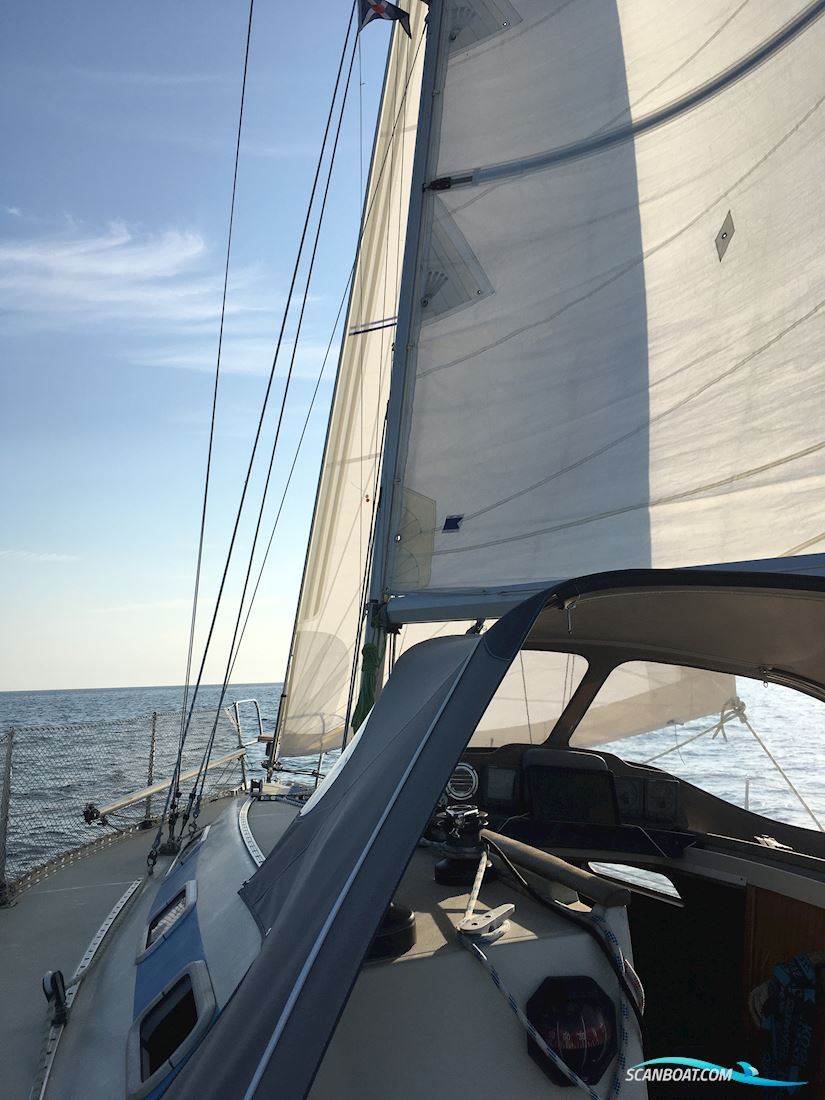 Elan 331