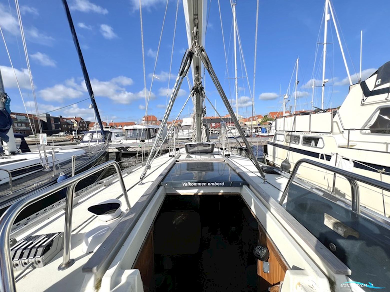 Elan 43