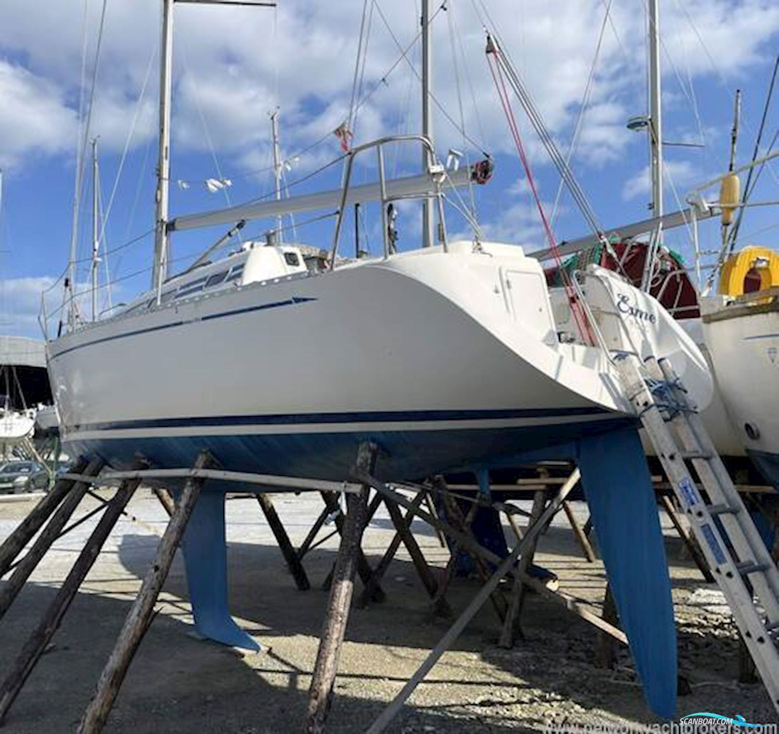 Elan Marine 295
