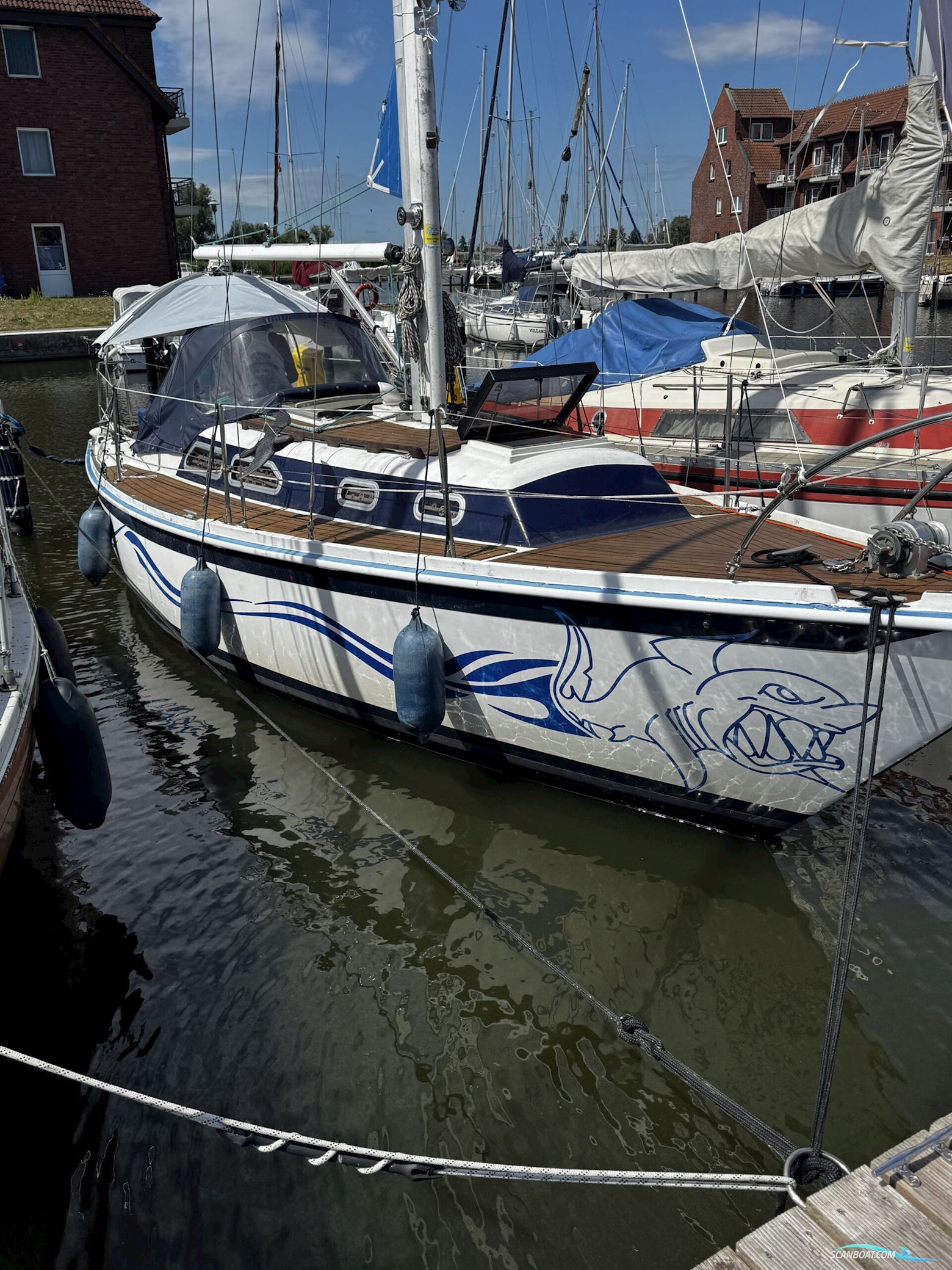 Ericson 29