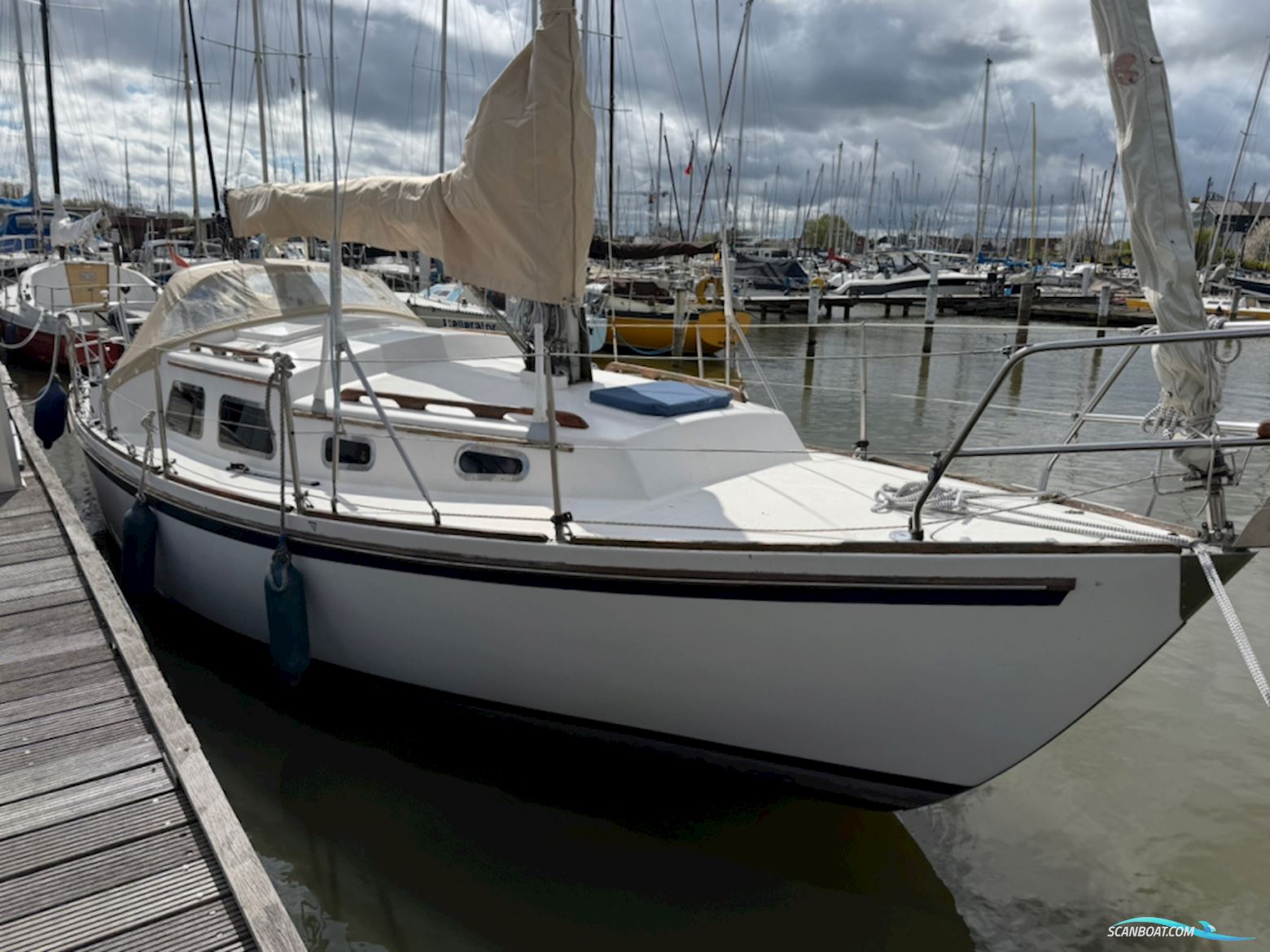 Fellowship 28
