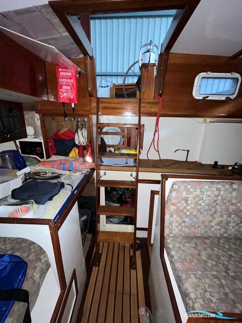 Feltz, Einzelbau, Rundspant