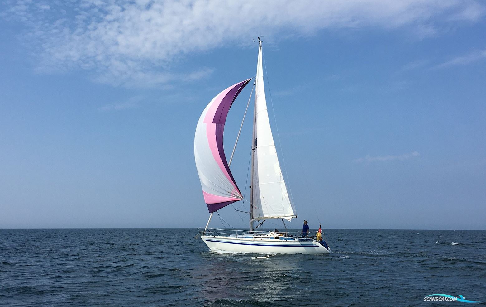 Finngulf 31