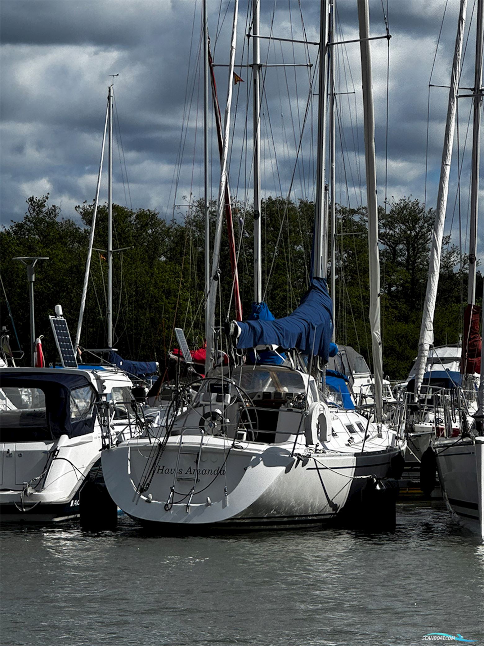 Finngulf 33