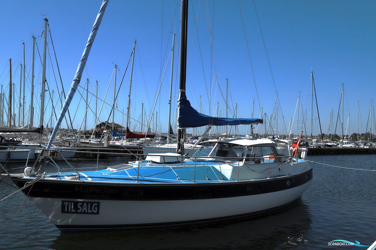 Finnsailor 38 Segelboot 1978, mit Perkins 4.236 M motor, Dänemark